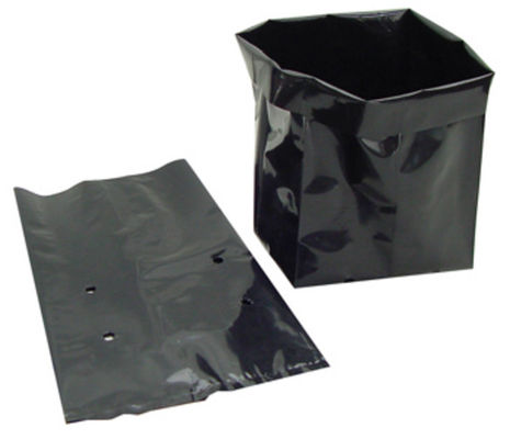 el plástico polivinílico negro resistente ULTRAVIOLETA de los bolsos del plantador del LDPE de 4mil 5mil crece los bolsos para el invernadero