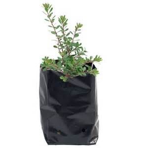 el plantador del jardín del pote de la planta de tomates del hidrocultivo de 5gallon 7gallon empaqueta negro plástico crece bolsos