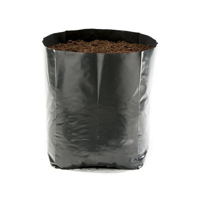 cultivando el plástico de establecimiento polivinílico negro de las verduras de los potes de la agricultura que cultiva un huerto crezca los bolsos