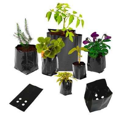 el negro resistente de 5 galones del cuarto de niños polivinílico del almácigo crece los bolsos para el plantador del invernadero