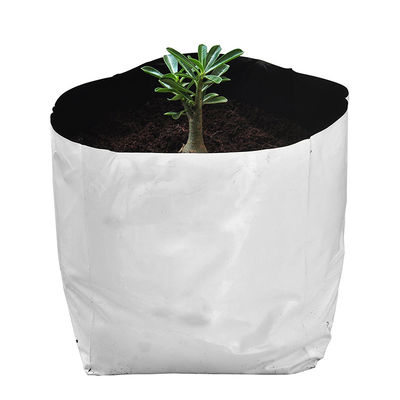 el plástico negro blanco de la película de la panda crece los potes del plantador de los tomates de las verduras que plantan bolsos del cuarto de niños