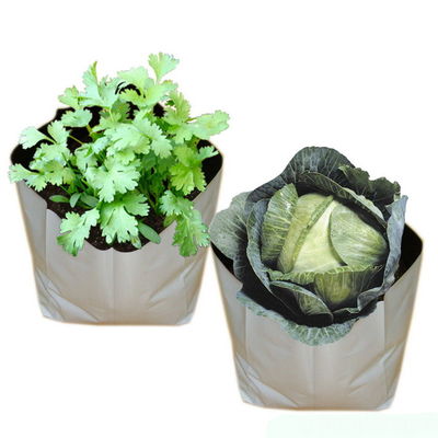 el plástico negro blanco de la película de la panda crece los potes del plantador de los tomates de las verduras que plantan bolsos del cuarto de niños