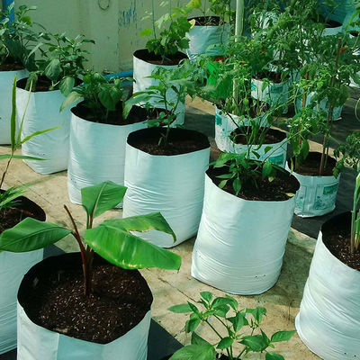 El plantador negro blanco del invernadero plástico del LDPE crece bolsos con los agujeros preperforados del drenaje